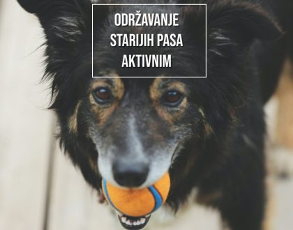 ODRŽAVANJE STARIJIH PASA AKTIVNIMA
