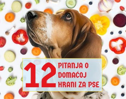 12 PITANJA O DOMAĆOJ HRANI ZA PSE