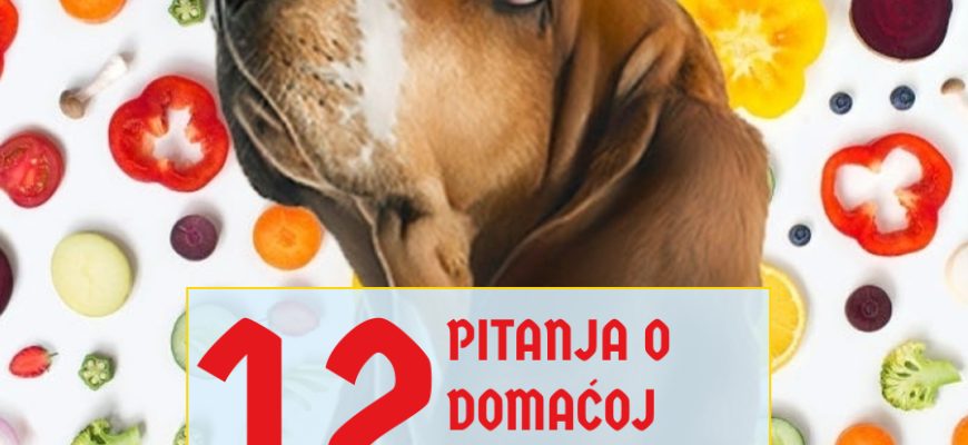 12 PITANJA O DOMAĆOJ HRANI ZA PSE