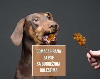 DOMAĆA HRANA ZA PSE BUBREŽNIM BOLESTIMA