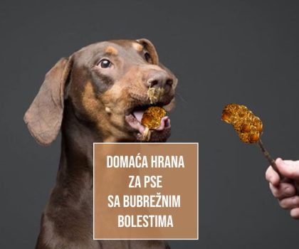 DOMAĆA HRANA ZA PSE BUBREŽNIM BOLESTIMA