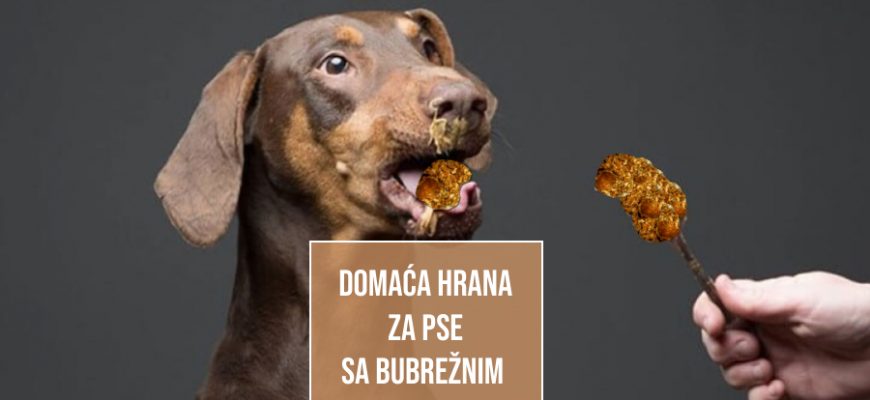 DOMAĆA HRANA ZA PSE BUBREŽNIM BOLESTIMA