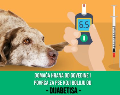 DOMAĆA HRANA ZA PSE KOJI BOLUJU OD DIJABETISA