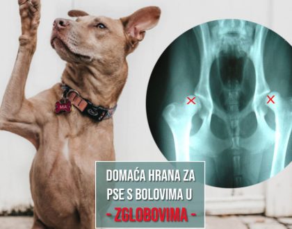 DOMAĆA HRANA ZA PSE S BOLOVIMA U ZGLOBOVIMA