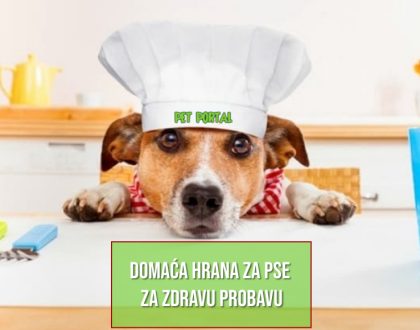 DOMAĆA HRANA ZA PSE ZA ZDRAVU PROBAVU