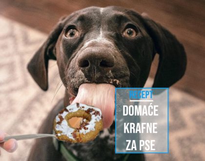 DOMAĆE KRAFNE ZA PSE