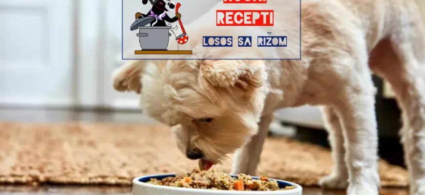 LOSOS SA RIŽOM