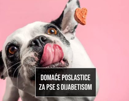 POSLATICE ZA PSE KOJI BOLUJ