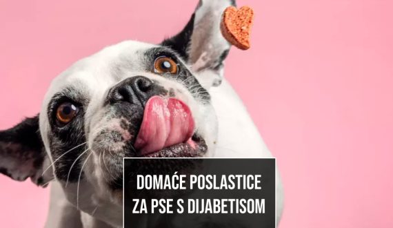 POSLATICE ZA PSE KOJI BOLUJ