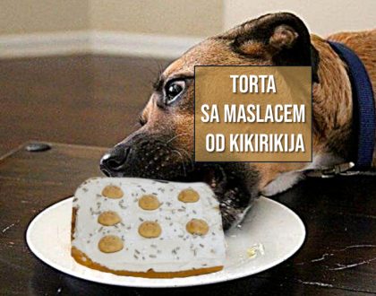 PSEĆA TORTA SA MASLACEM OD KIKIRIKIJA