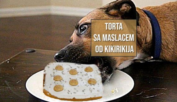 PSEĆA TORTA SA MASLACEM OD KIKIRIKIJA