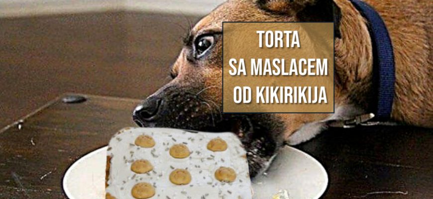 PSEĆA TORTA SA MASLACEM OD KIKIRIKIJA