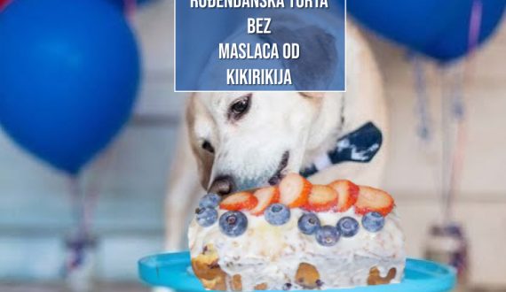 ROĐENDANSKA TORTA BEZ MASLACA OD KIKIRIKIJA