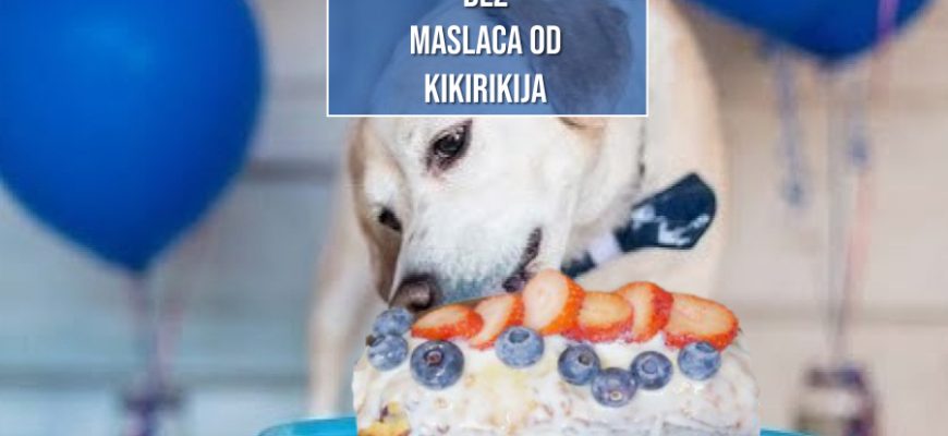 ROĐENDANSKA TORTA BEZ MASLACA OD KIKIRIKIJA