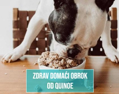ZDRAV DOMAĆI OBROK OD QUINOE