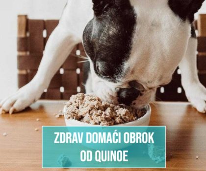 ZDRAV DOMAĆI OBROK OD QUINOE