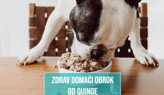 ZDRAV DOMAĆI OBROK OD QUINOE