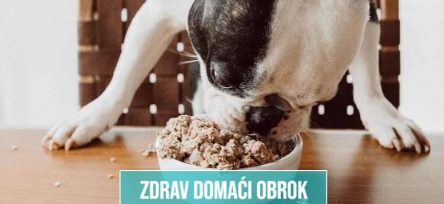 ZDRAV DOMAĆI OBROK OD QUINOE
