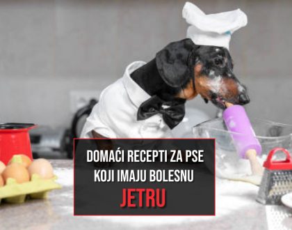 domači recepti za pse koji imaju problema sa jetrom