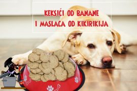 kaksići od banane i maslaca od kikirikija za pse