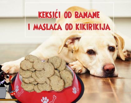 kaksići od banane i maslaca od kikirikija za pse