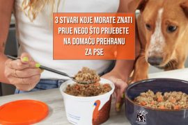 3 STVARI KOJE MORATE ZNAT I PRIJE NEGO PRIJEĐETE NA DOMAĆU HRANU ZA PSE