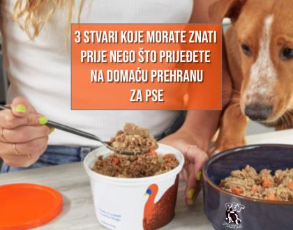 3 STVARI KOJE MORATE ZNAT I PRIJE NEGO PRIJEĐETE NA DOMAĆU HRANU ZA PSE