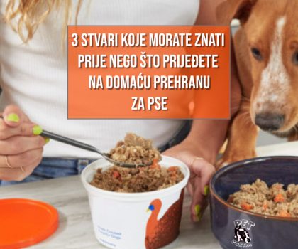 3 STVARI KOJE MORATE ZNAT I PRIJE NEGO PRIJEĐETE NA DOMAĆU HRANU ZA PSE