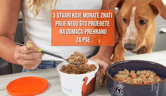 3 STVARI KOJE MORATE ZNAT I PRIJE NEGO PRIJEĐETE NA DOMAĆU HRANU ZA PSE