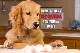 DOMAĆA HRANA BEZ GLUTENA NAMJENJENA PSIMA