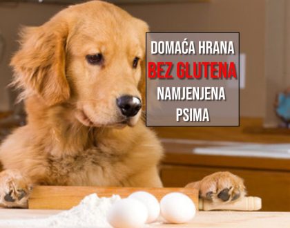 DOMAĆA HRANA BEZ GLUTENA NAMJENJENA PSIMA