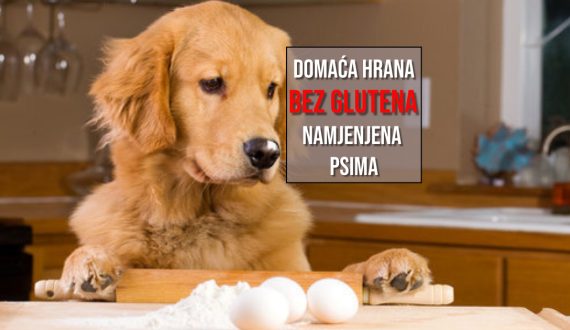 DOMAĆA HRANA BEZ GLUTENA NAMJENJENA PSIMA
