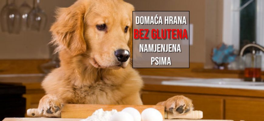 DOMAĆA HRANA BEZ GLUTENA NAMJENJENA PSIMA