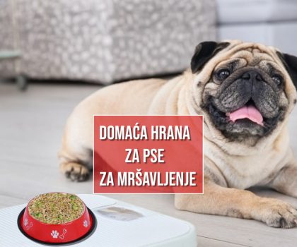 DOMAĆA HRANA ZA PSE ZA MRŠAVLJENJE