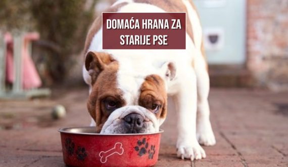 DOMAĆA HRANA ZA STARIJE PSE
