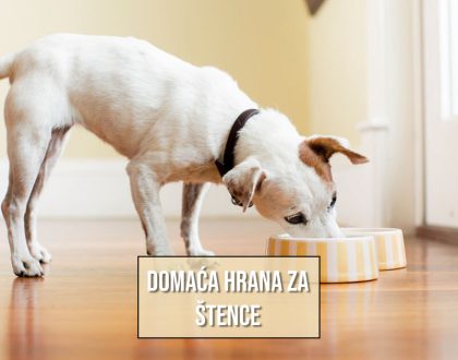 DOMAĆA HRANA ZA ŠTENCE