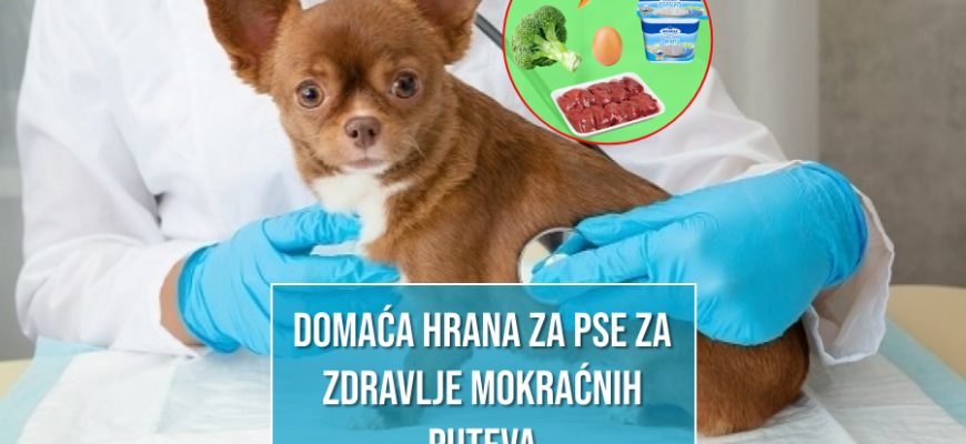 Domaća hrana za pse za zdravlje mokraćnih putova