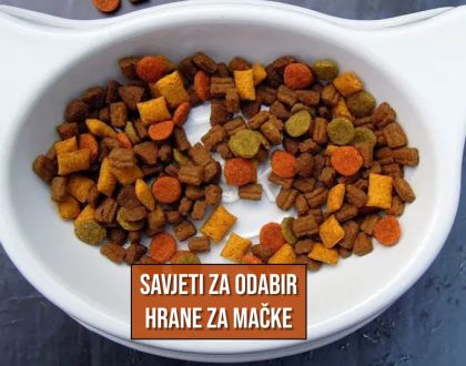 SAVJET ZA ODABIR HRANE ZA MAČKE