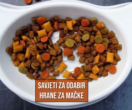 SAVJET ZA ODABIR HRANE ZA MAČKE
