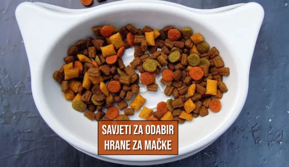 SAVJET ZA ODABIR HRANE ZA MAČKE