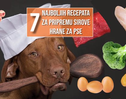 7 NAJBOLJIH RECEPATA ZA PRIPREMU SIROVE HRANE ZA PSE