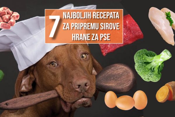 7 NAJBOLJIH RECEPATA ZA PRIPREMU SIROVE HRANE ZA PSE