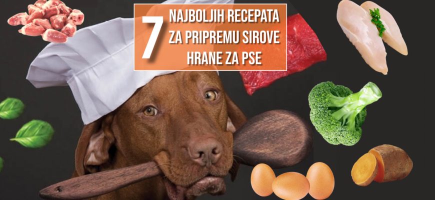 7 NAJBOLJIH RECEPATA ZA PRIPREMU SIROVE HRANE ZA PSE