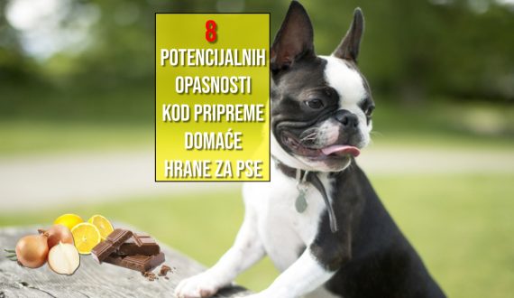 8 POTENCIJALNIH OPASNOSTI DOMAĆE HRANE ZA PSE