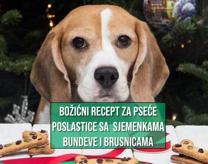 BOŽIĆNI RECEPT ZA PSEĆE POSLASTICE