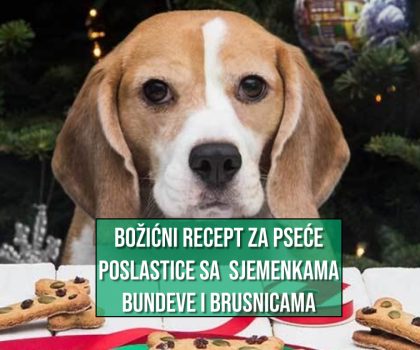 BOŽIĆNI RECEPT ZA PSEĆE POSLASTICE