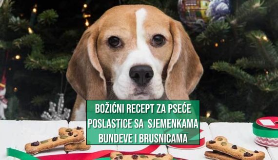 BOŽIĆNI RECEPT ZA PSEĆE POSLASTICE