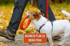 BUSINESS PLAN ZA OBUKU PASA