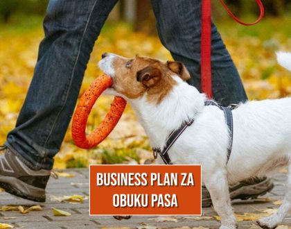 BUSINESS PLAN ZA OBUKU PASA