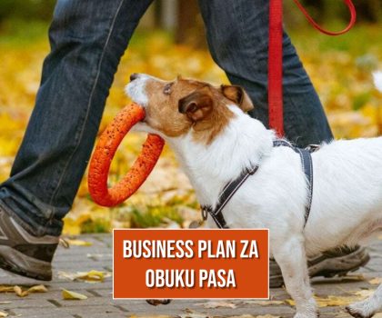 BUSINESS PLAN ZA OBUKU PASA